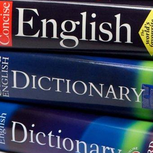 woordenboeken